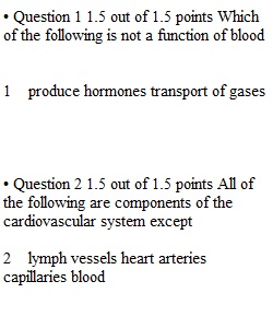 Quiz 4